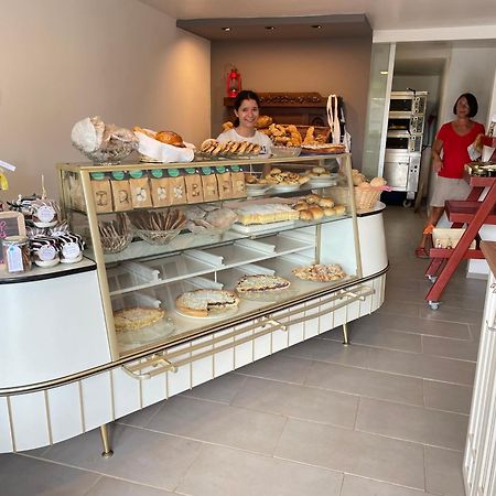 Haus Rebenblick Διαμέρισμα Dierbach Εξωτερικό φωτογραφία