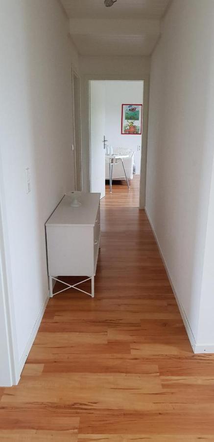 Haus Rebenblick Διαμέρισμα Dierbach Εξωτερικό φωτογραφία