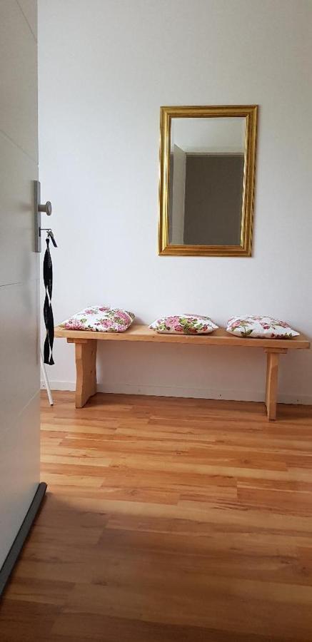 Haus Rebenblick Διαμέρισμα Dierbach Εξωτερικό φωτογραφία