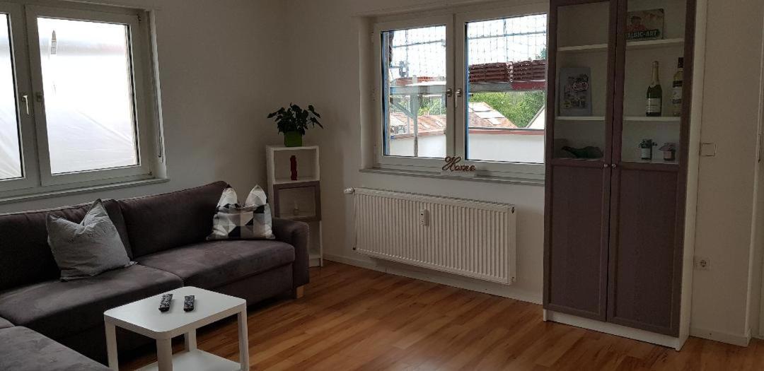 Haus Rebenblick Διαμέρισμα Dierbach Εξωτερικό φωτογραφία
